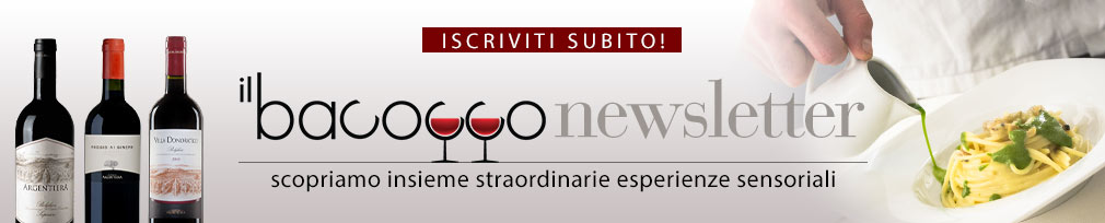 il-bacocco-02-testata-newsletter